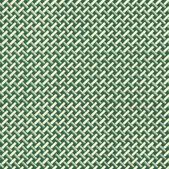 Green Basket Weave Print Italian Paper ~ Carta Varese Italy